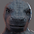 Zevaxx