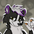 DuncanSkunk
