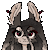 Misscaine