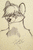 Ekyuu