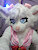 catears16