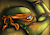 DippyDrop