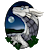 dragonrider65