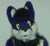 Winterpaw