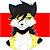NeomCheetah
