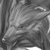 Antardragon