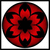 FIGHTINGDREAMER231