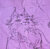NastyCat