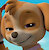 Dorkie