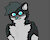 Thedarksnep