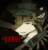 sabot