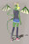 Kayawaterdragon01