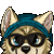 Coopy