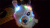 LunarDrolf