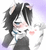 AliceKitten