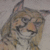 StrikerKingCheetah