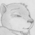 PipTheOtter