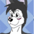 SiekhalHusky