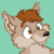 Sneakcoyote