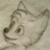 AltheAlbinoFox