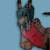 cookiekangaroo