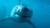 Sharksrule1