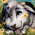 Spotty2Wily