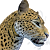 SunJaguar
