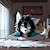 CoolFoxy