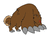 Claw213