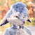 WentTheFox