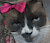 VirtueKitty