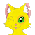 Yordraw