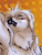 Hooter