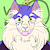 NastyCat