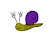 RegguSnail