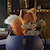 PamperedDiaperFox