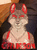 CrimsonSpidusky