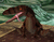 Dragonviper
