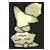 amberlamps