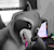ZanderTheRaccoon