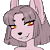 AmaliaSoftpaw