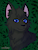 RavenTheCat