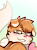 TTFox