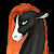 EquusAbiectus