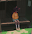 bloomjane