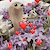 Biver