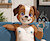Bdsmartboy