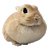 pichuswife