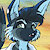 ringtailmaster